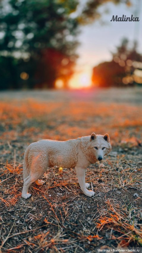 Красная шапочка — Куклы Paola Reina (Паола Рейна): новинки (фото 9)