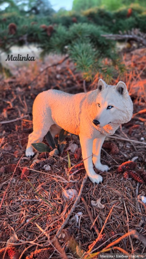 Красная шапочка — Куклы Paola Reina (Паола Рейна): новинки (фото 8)