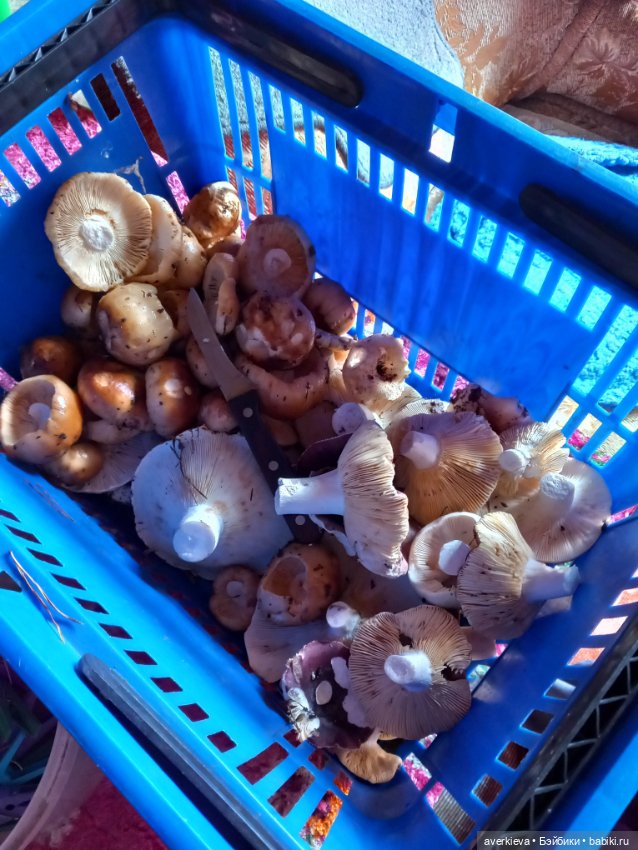 "С корабля на бал" — Винтажные куклы ГДР (Немки): Бигги