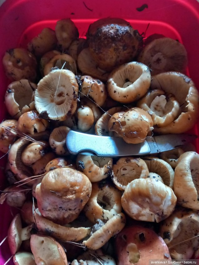 "С корабля на бал" — Винтажные куклы ГДР (Немки): Бигги