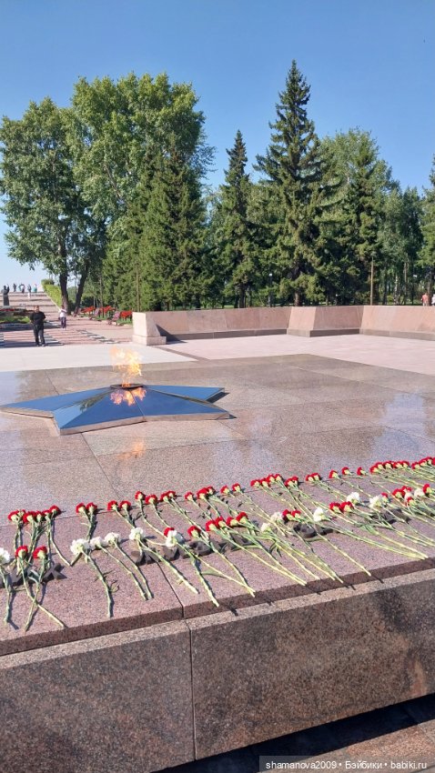 Топиарные скульптуры на Набережной р.Ангары