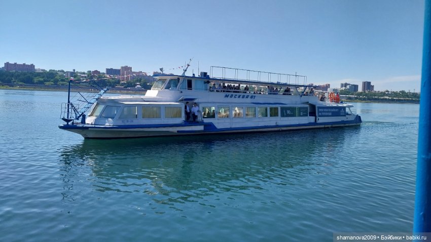 Топиарные скульптуры на Набережной р.Ангары (фото 9)