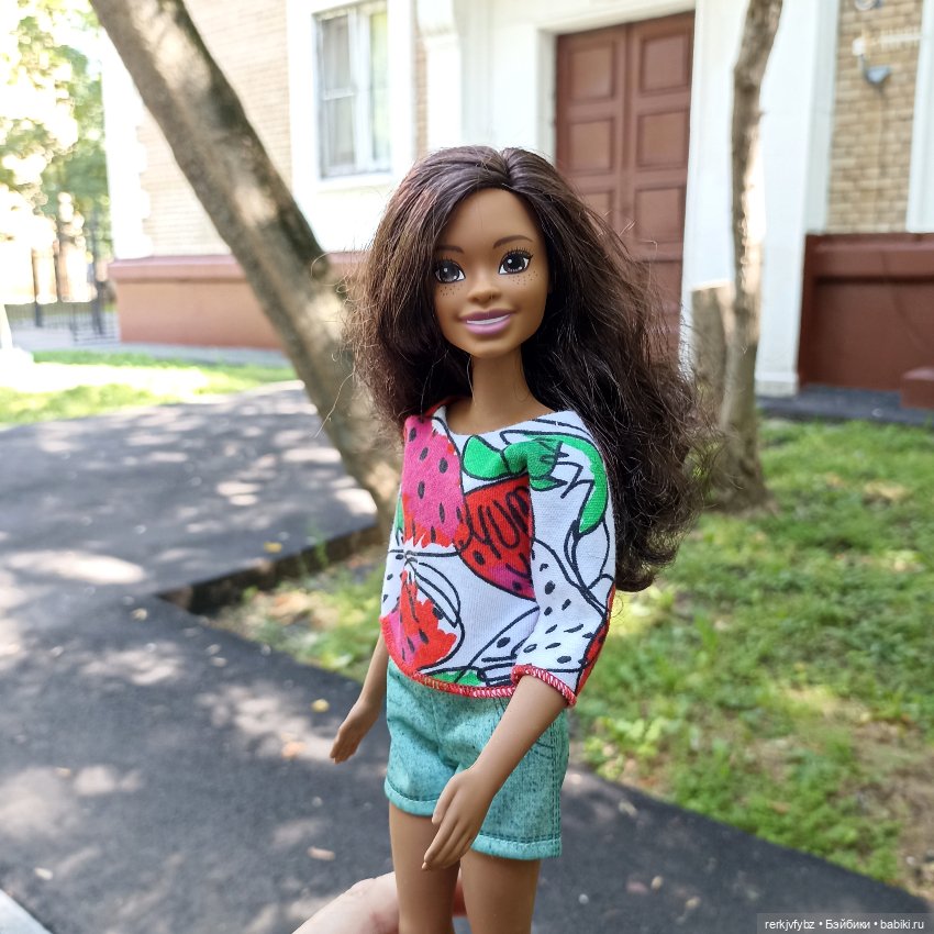 Сбывшаяся мечта 2 в 1 — Куклы Barbie (Барби): Looks