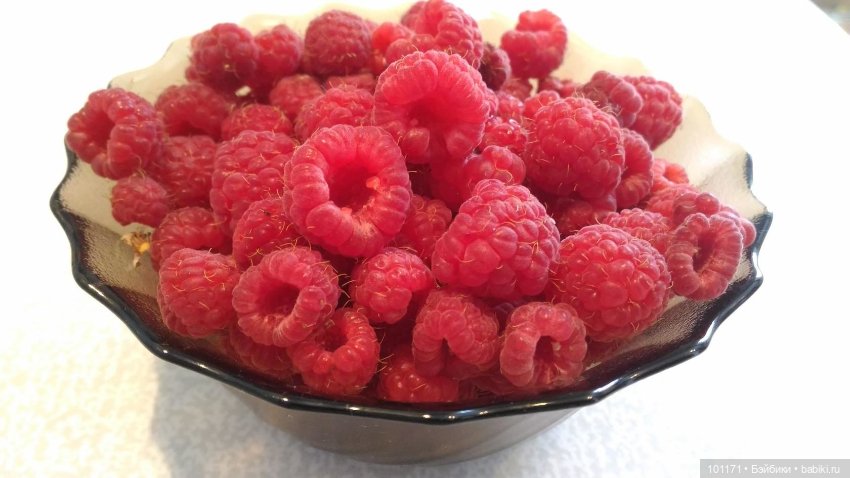 Если она ТВОЯ-она найдет тебя! (куколка Schildkröt)