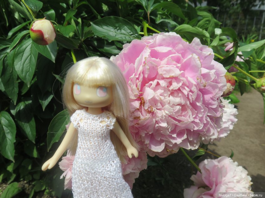 Зарисовки с натуры в Ботсаду Петра Великого