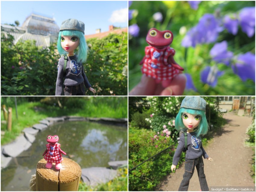 Зарисовки с натуры в Ботсаду Петра Великого