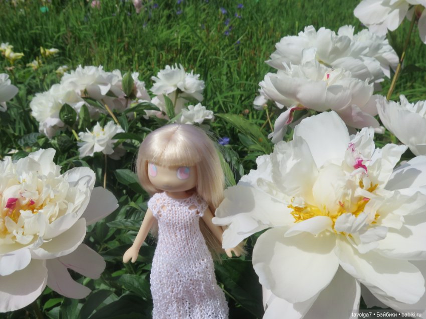 Зарисовки с натуры в Ботсаду Петра Великого