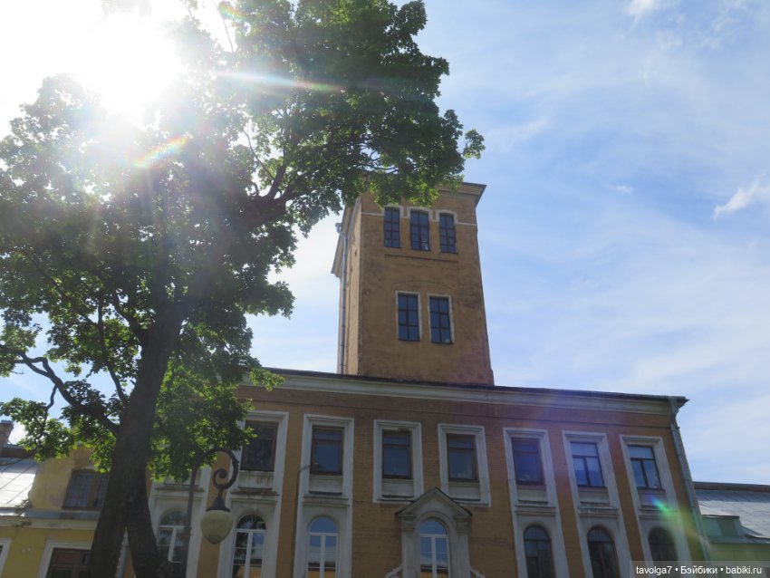 Зарисовки с натуры в Ботсаду Петра Великого