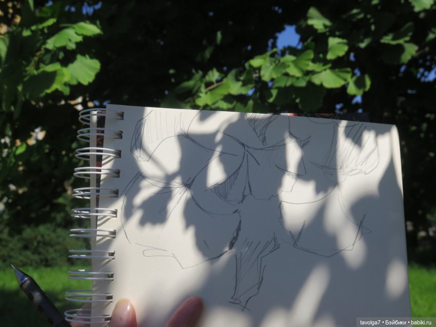 Зарисовки с натуры в Ботсаду Петра Великого