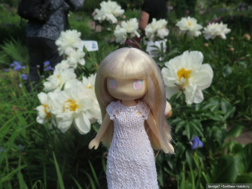 Зарисовки с натуры в Ботсаду Петра Великого