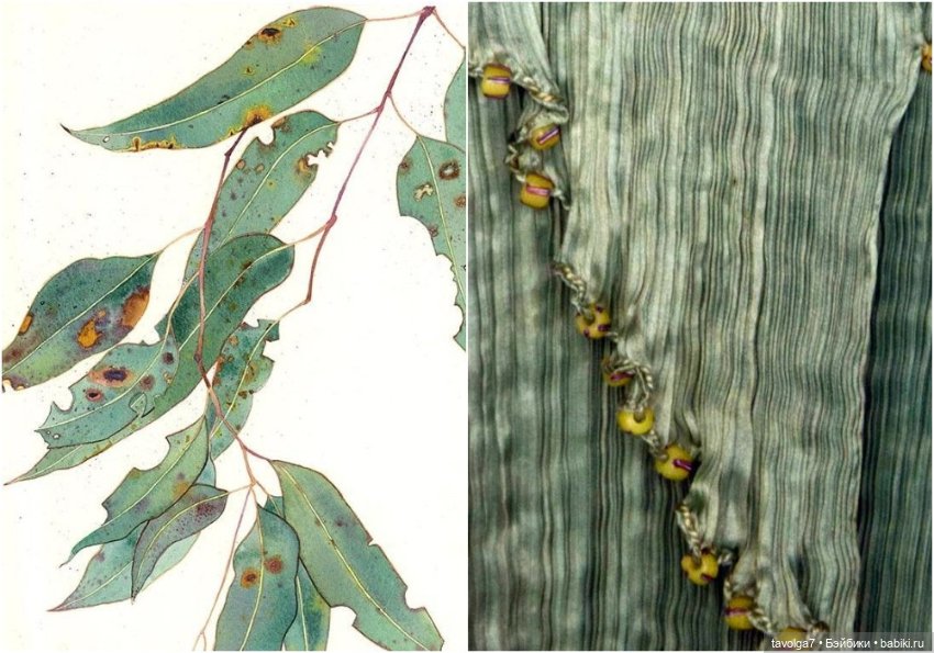 Море, река, тропики - оттенки июля