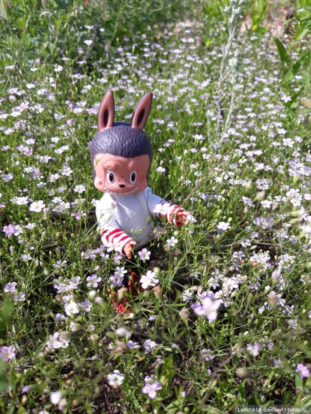 Ох уж эти моды — Гибриды шарнирных кукол (не БЖД): подбор тела (фото 2)