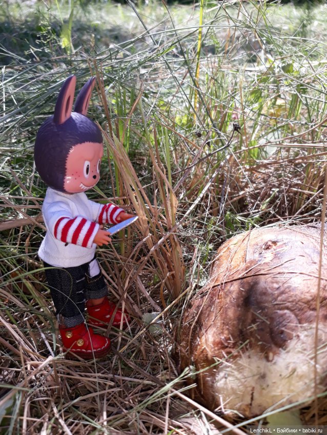 Тихо-тихо подкрадываешься иии (фото 4)