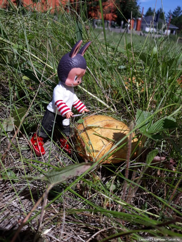 Тихо-тихо подкрадываешься иии (фото 5)