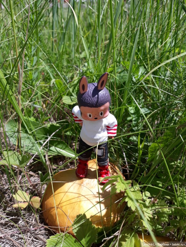 Тихо-тихо подкрадываешься иии (фото 2)