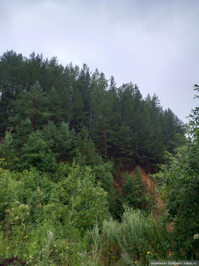 Чуча в лесу — Коллекционные фигурки (разное): животные