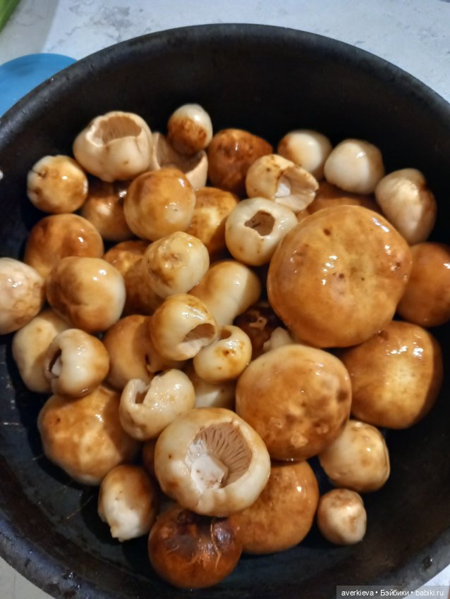 Чуча в лесу — Коллекционные фигурки (разное): животные