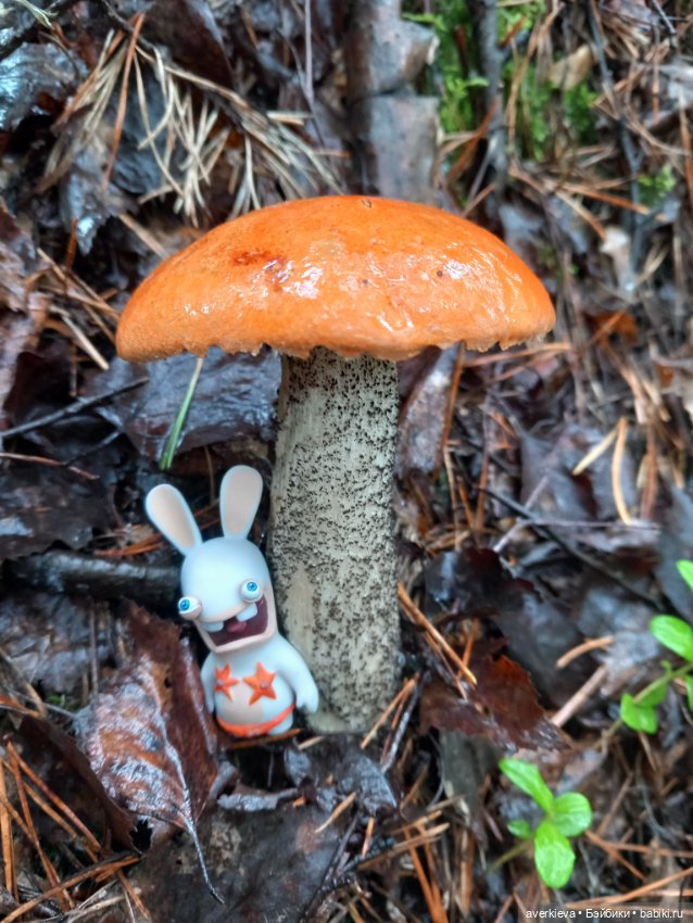 Чуча в лесу — Коллекционные фигурки (разное): животные (фото 3)