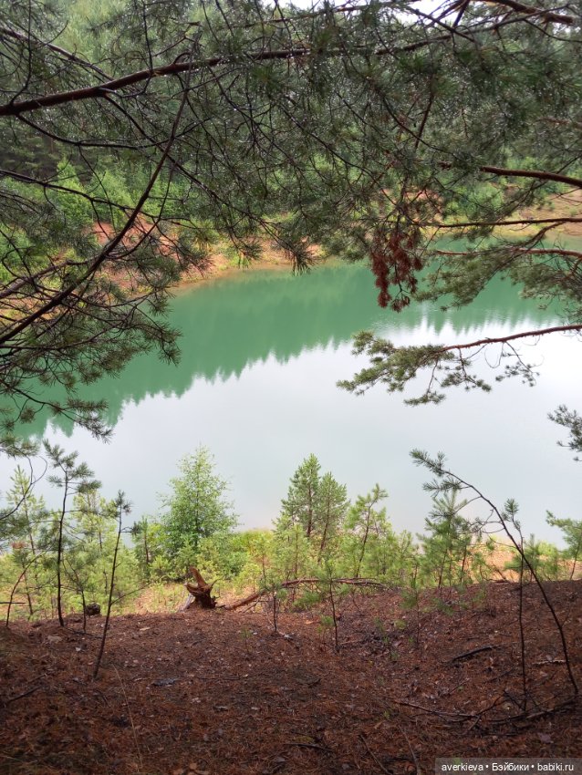 Чуча в лесу — Коллекционные фигурки (разное): животные (фото 5)