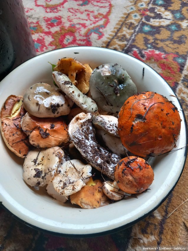 Чуча в лесу — Коллекционные фигурки (разное): животные