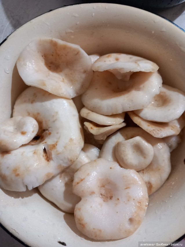 Чуча в лесу — Коллекционные фигурки (разное): животные