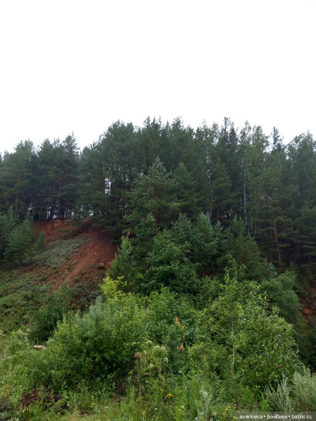 Чуча в лесу — Коллекционные фигурки (разное): животные