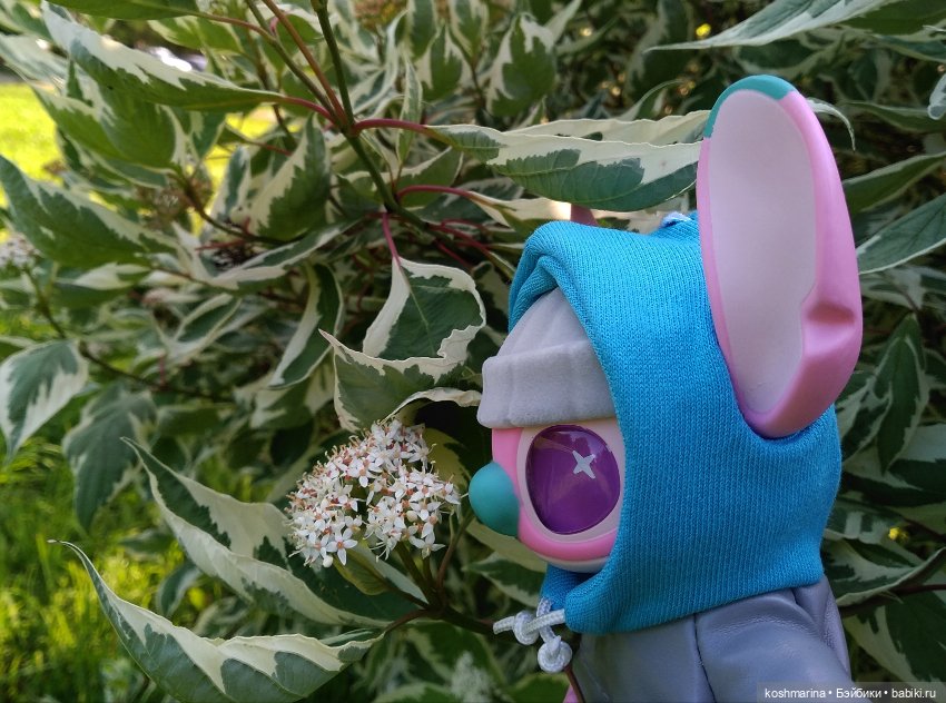 Суровый парень в Сити — Коллекционные фигурки (разное): животные