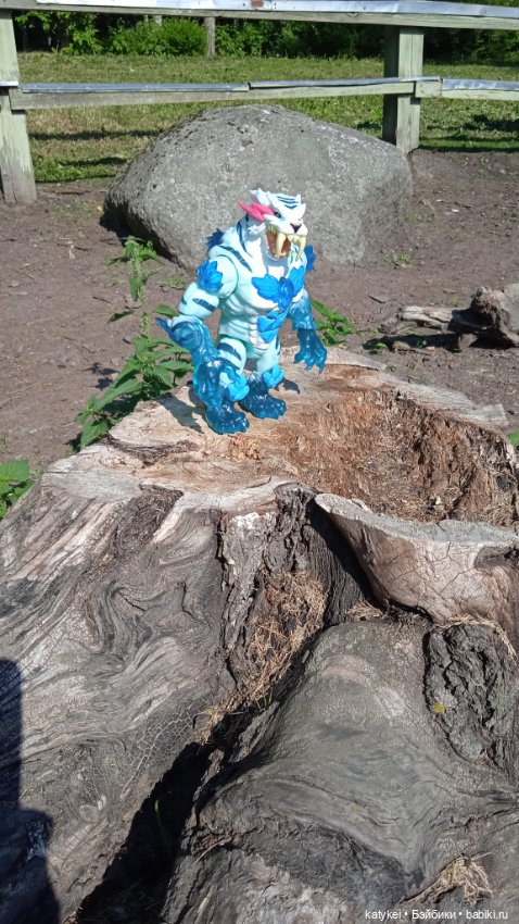 Море пальмы — Болталка и разговоры обо всем: жизнь