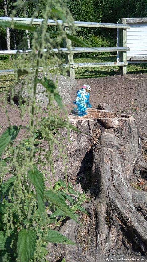 Море пальмы — Болталка и разговоры обо всем: жизнь