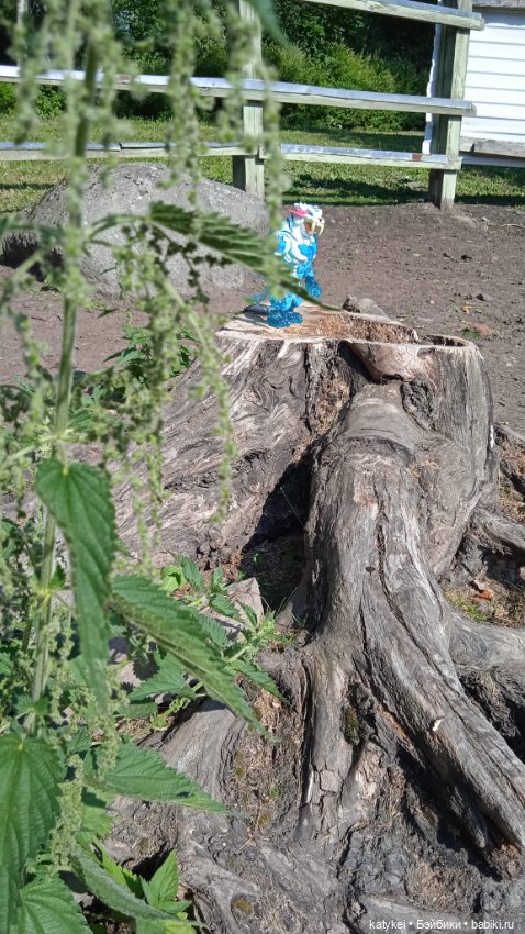 Море пальмы — Болталка и разговоры обо всем: жизнь