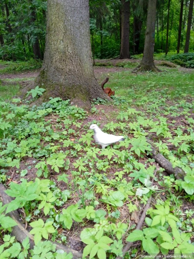 Мини отпуск Кирка. Часть вторая (фото 9)