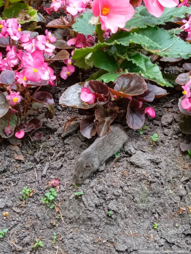 Мини отпуск Кирка. Часть вторая (фото 10)