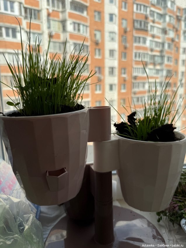 Малышки Hanamaki в парке — Другие мини