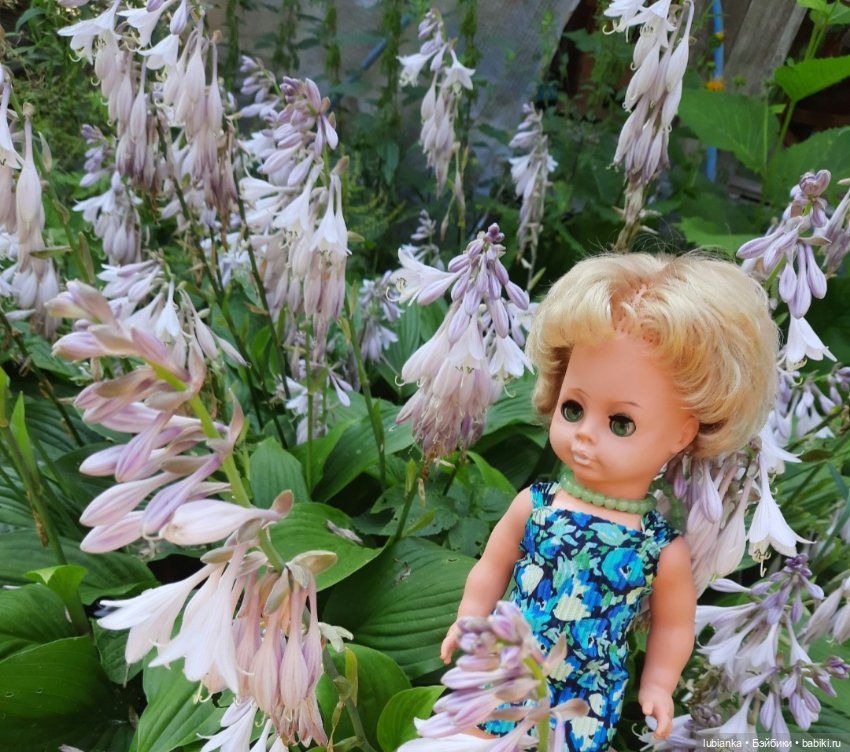 О чём грустишь,сердитка?...💚💙