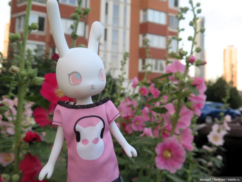 Зарисовки мальв в четыре утра