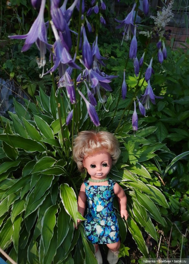 О чём грустишь,сердитка?...💚💙