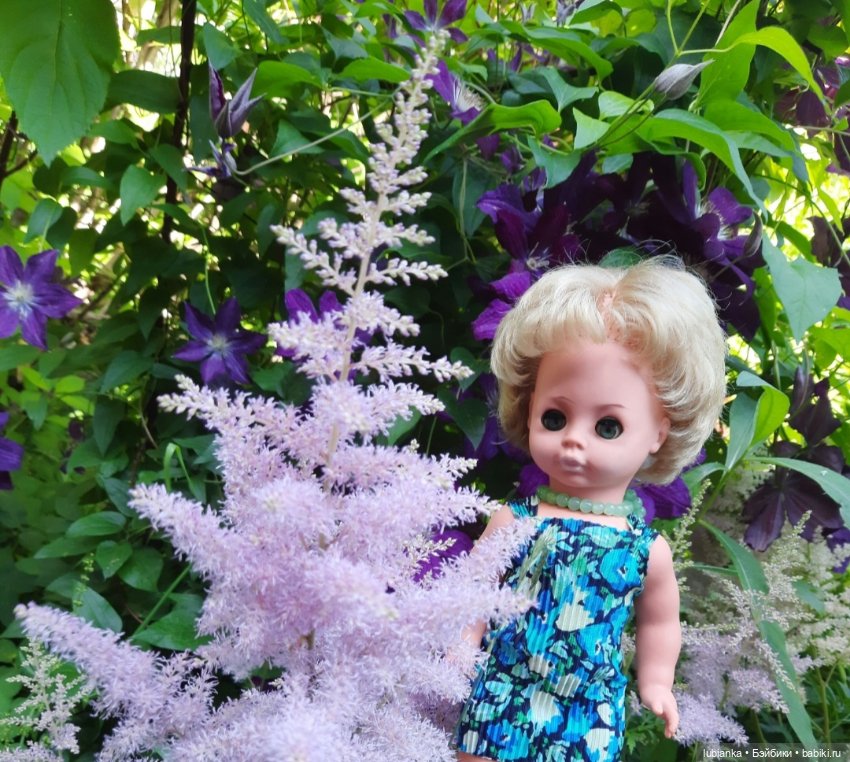 О чём грустишь,сердитка?...💚💙