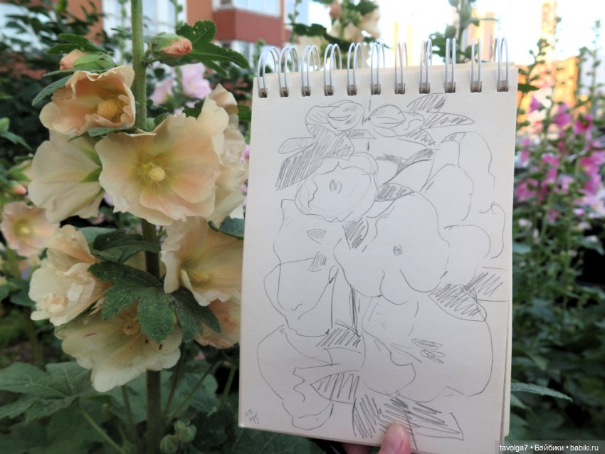 Зарисовки мальв в четыре утра