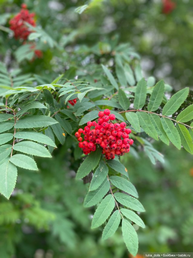 Тинка на прогулке — Домашние фото авторских кукол: личные коллекции (фото 9)