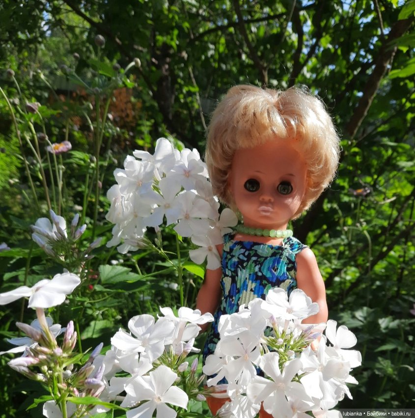 О чём грустишь,сердитка?...💚💙