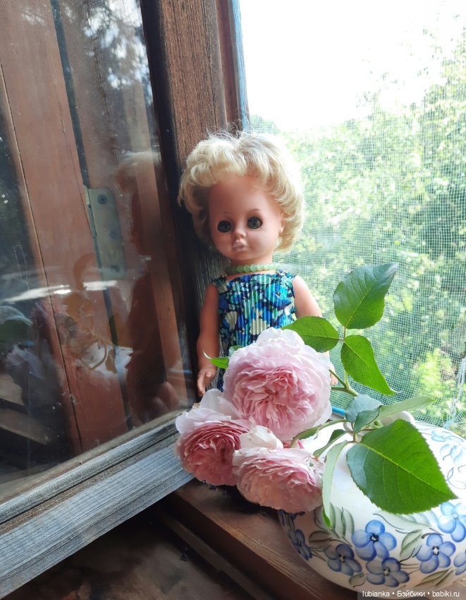 О чём грустишь,сердитка?...💚💙