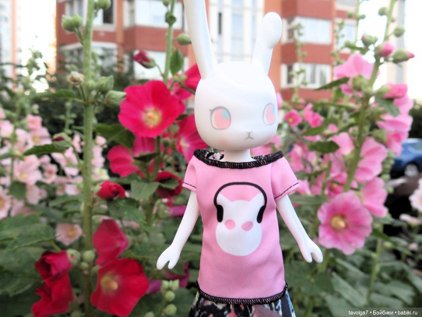 Зарисовки мальв в четыре утра (фото 10)