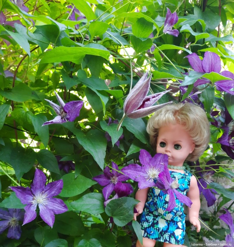 О чём грустишь,сердитка?...💚💙