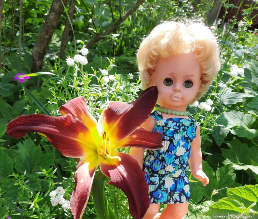 О чём грустишь,сердитка?...💚💙