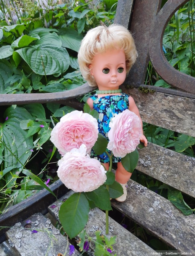 О чём грустишь,сердитка?...💚💙