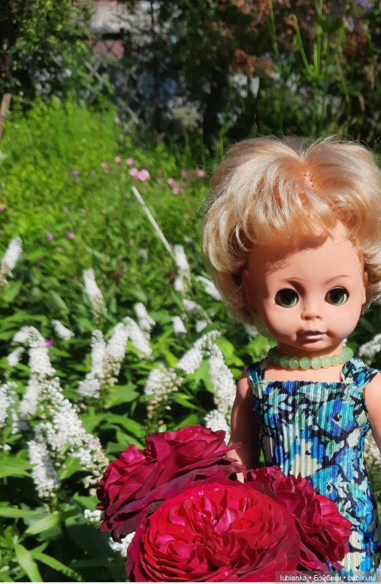 О чём грустишь,сердитка?...💚💙