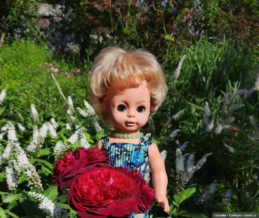 О чём грустишь,сердитка?...💚💙