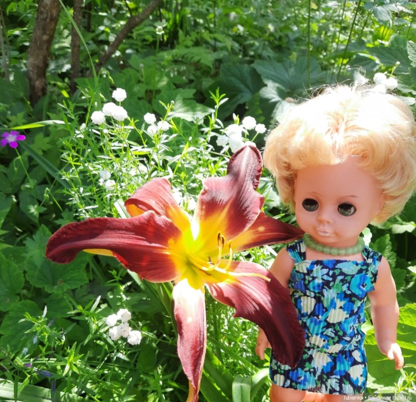 О чём грустишь,сердитка?...💚💙