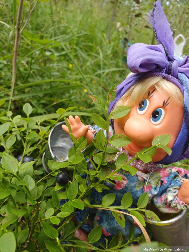 Как Фаина с Анфисой за черникой ходили🫐