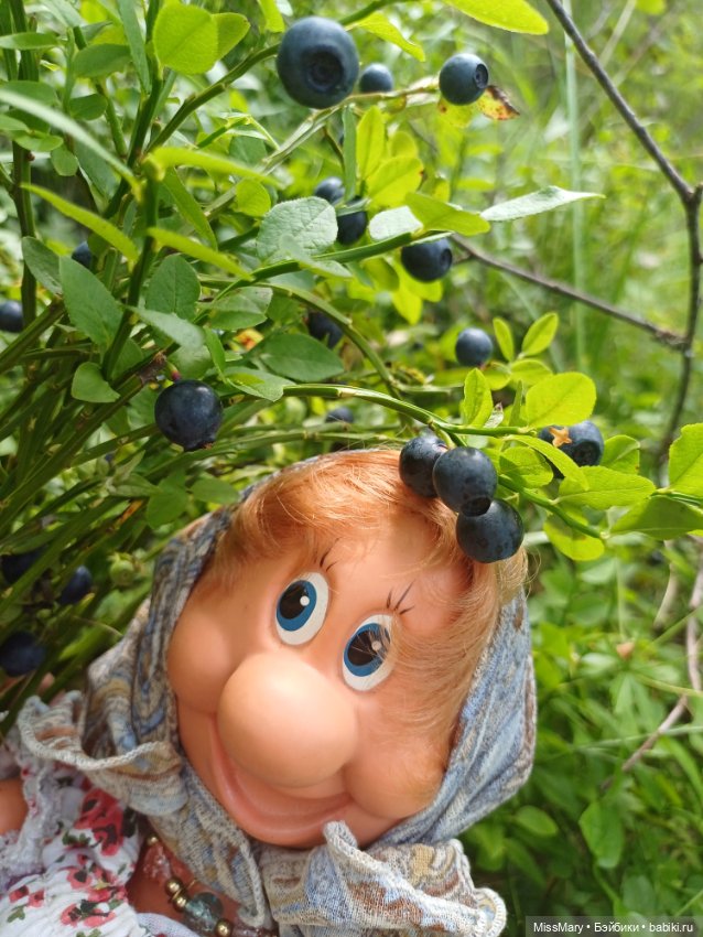 Как Фаина с Анфисой за черникой ходили🫐